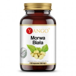YANGO Morwa biała - ekstrakt - 60 kaps - suplement diety